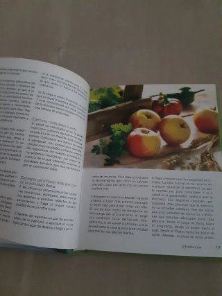 LA MINIDIETA. RICA, VARIADA Y A TODA PRUEBA CONTRA
