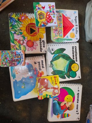 Lotto 7 Libri Cartonati