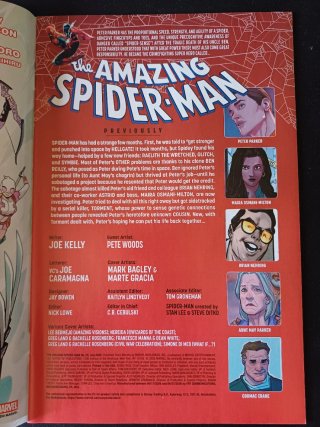 The Amazing Spider-Man (2025) #29 (Usa) Di Meo