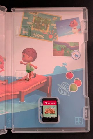 Animal Crossing New Horizons Nintendo Switch