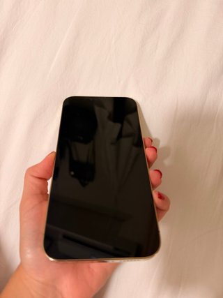 iPhone 13 Pro Max 256 GB