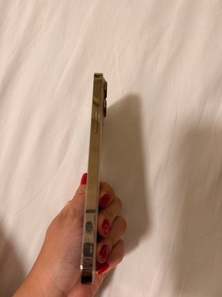 iPhone 13 Pro Max 256 GB
