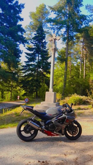 Suzuki GSXR 1000 Gris/Rojo