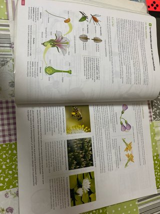 Biología, Geología y Ciencias Ambientales. 1 Ba...