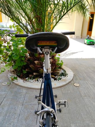 Bici Corsa Alluminio Mass Diablo Vintage