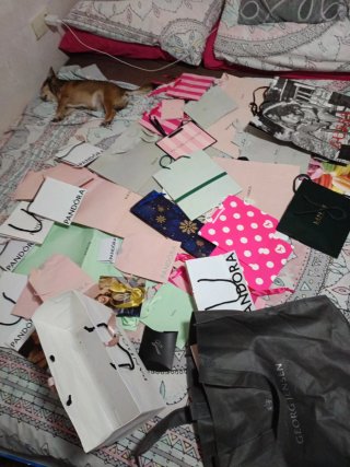 Lote Bolsas Regalo Tous Pandora Victoria's Secret