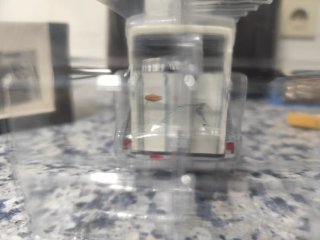 Minichamps 1:43 Remolque para caballos