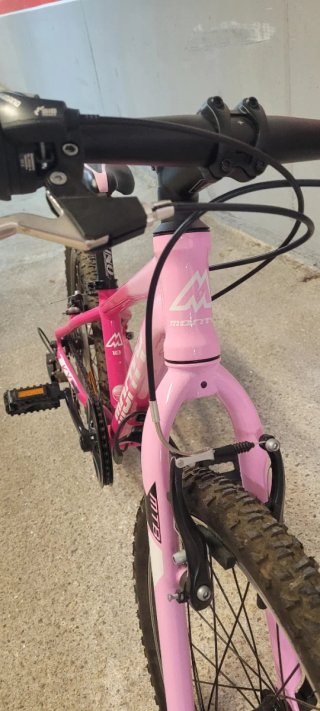 Bicicleta Monty Rosa Niña