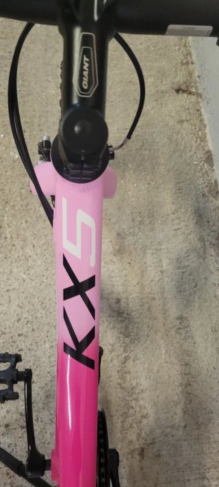 Bicicleta Monty Rosa Niña