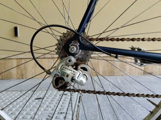 Bici da corsa Bianchi taglia 63cm Campagnolo