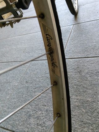 Bici da corsa Bianchi taglia 63cm Campagnolo