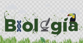 Apuntes licenciatura biologia