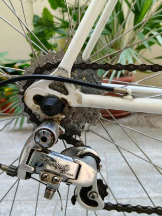 Colnago Bici da Corsa Campagnolo Made in Italy