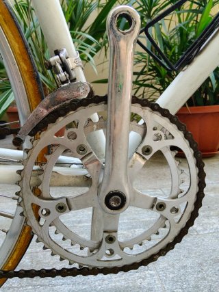 Colnago Bici da Corsa Campagnolo Made in Italy