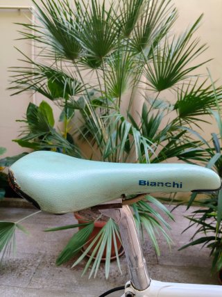 Colnago Bici da Corsa Campagnolo Made in Italy