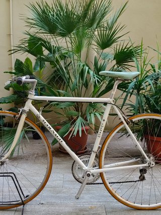 Colnago Bici da Corsa Campagnolo Made in Italy