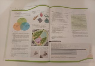 Biología y Geología, 4 ESO, Operación mundo
