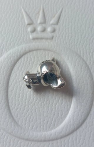Charm Simba