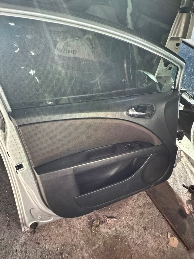 Panel Puerta Izquierdo Seat León 2007