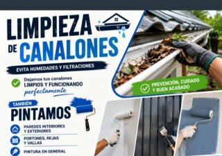 Limpiezas canalones