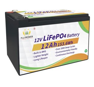 Batería LiFePO4 12V 12Ah FLLYROWER