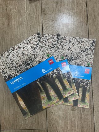 Libro de lengua 6 de primaria