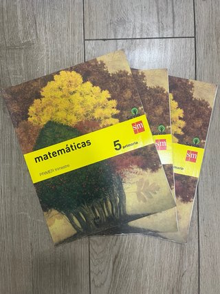 Libro de matemáticas 5 de primaria