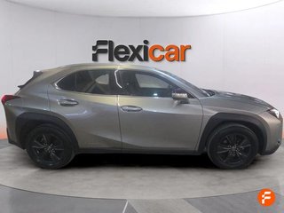 Lexus UX 2.0 250h Business