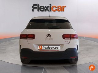 Citroën C4 Cactus BlueHDi 100 S&S Live