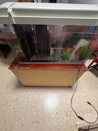 Pecera 80L