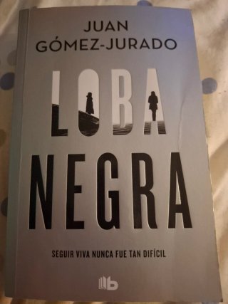 4 libros de Juan Gómez Jurado