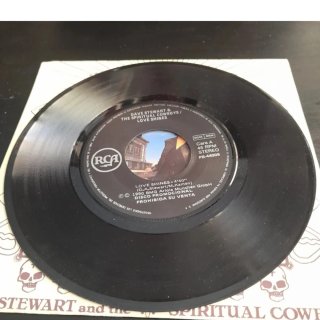 Dave Stewart & Spiritual Cowboys - Love Shin