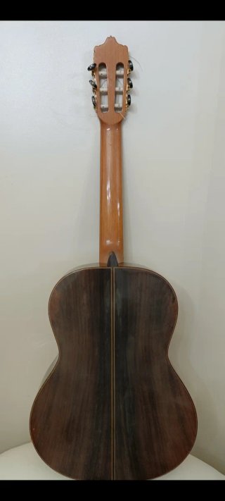 Guitarra Clásica Concierto
