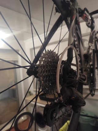 Bici Carretera Colnago Fibra Carbono