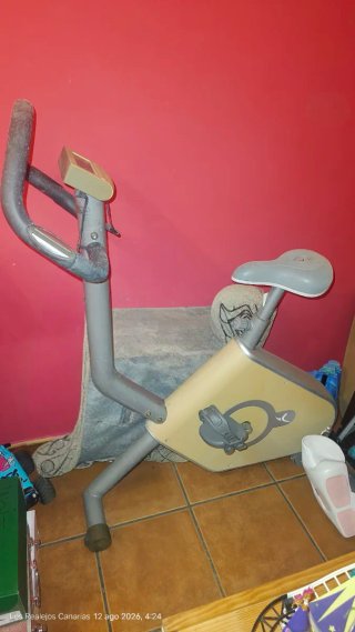 Bicicleta Estática Gris y Beige