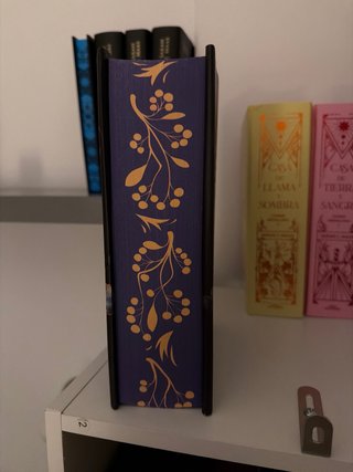 Libro romantasy
