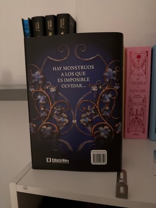Libro romantasy