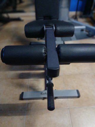 Banco dual piernas Body-Solid Extensión y Femoral