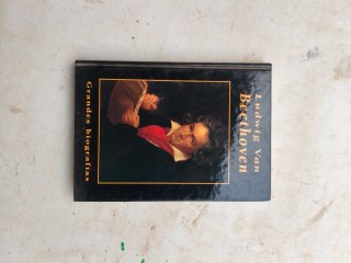 2Lotes de libros -Literatura española y biografías