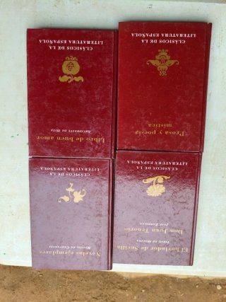 2Lotes de libros -Literatura española y biografías