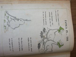 ENCICLOPEDIA ILLUSTRATA DEI RAGAZZI ANNO 1958.