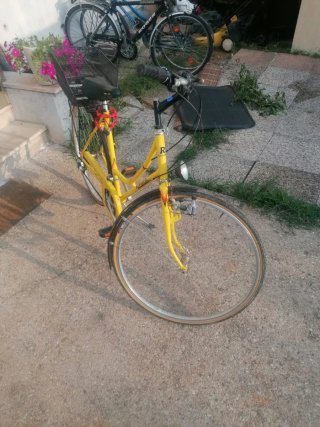 Bici da donna gialla con cestino