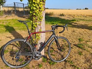 Canyon Ultimate CF SL9 Ultegra Di2. Talla XL