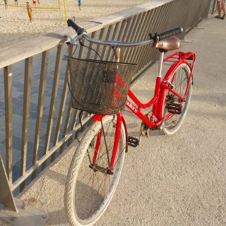 Bicicleta Orbea Verde con Silla Infantil