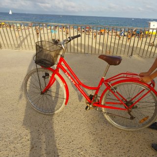 Bicicleta Orbea Verde con Silla Infantil