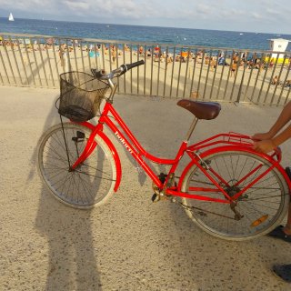 Bicicleta Orbea Verde con Silla Infantil