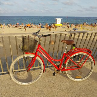 Bicicleta Orbea Verde con Silla Infantil
