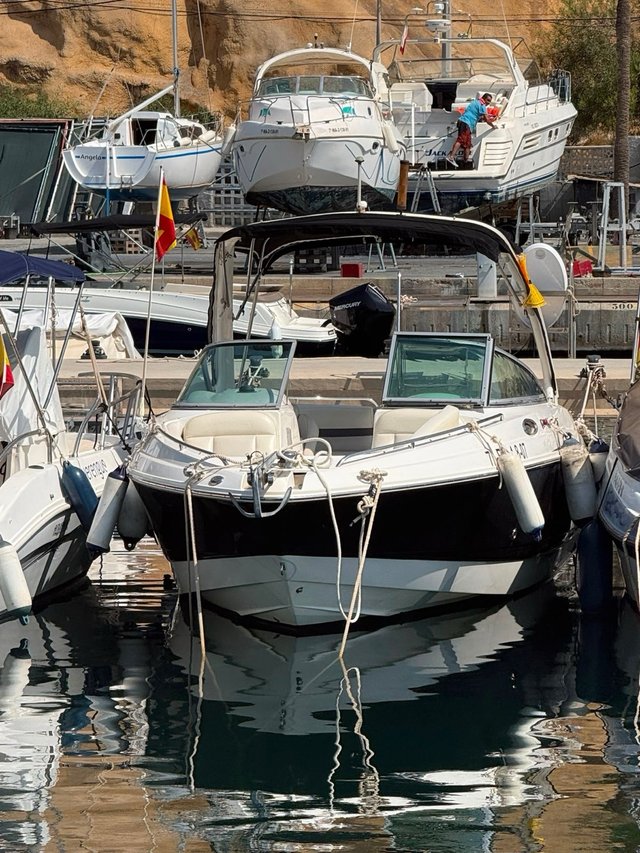 Barco Chaparral 256 SSI