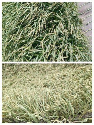Césped artificial reciclado