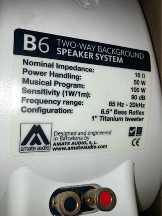 Altavoces blancos AMATE AUDIO + Etapa DAS